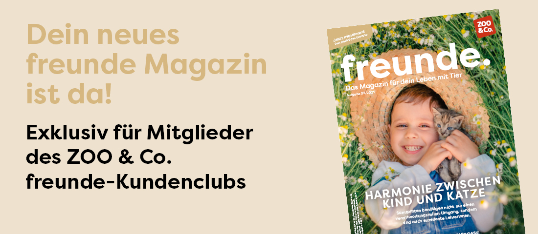 Titelbild der freunde Magazin Ausgabe 02/2025